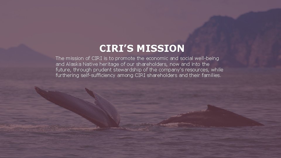 CIRI’S MISSION The mission of CIRI is to promote the economic and social well-being