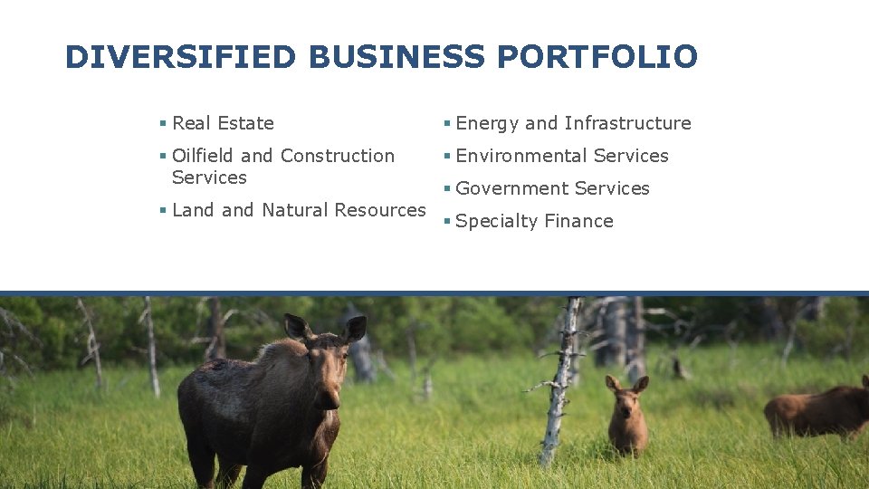 DIVERSIFIED BUSINESS PORTFOLIO § Real Estate § Energy and Infrastructure § Oilfield and Construction