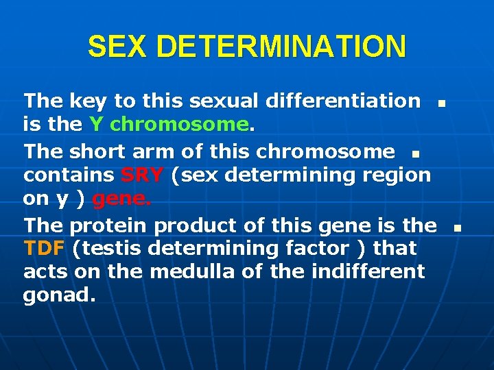 SEX DETERMINATION The key to this sexual differentiation n is the Y chromosome. The SEX DETERMINATION The key to this sexual differentiation n is the Y chromosome. The