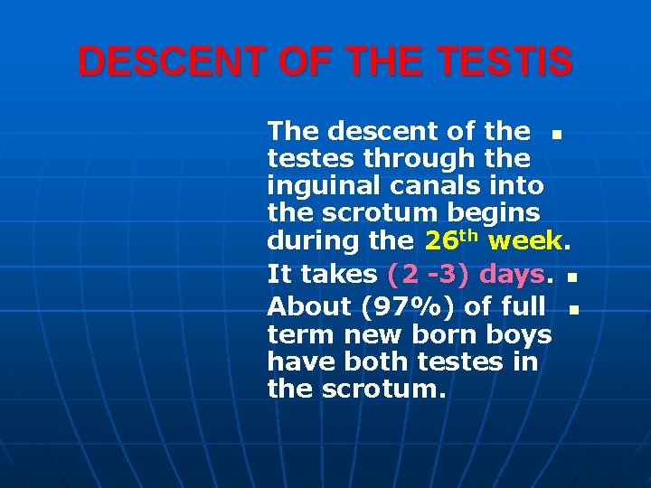 DESCENT OF THE TESTIS The descent of the n testes through the inguinal canals DESCENT OF THE TESTIS The descent of the n testes through the inguinal canals