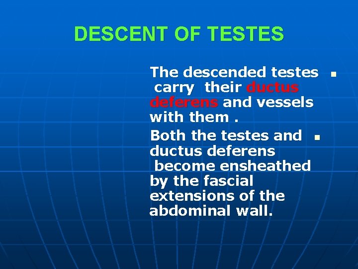 DESCENT OF TESTES The descended testes carry their ductus deferens and vessels with them. DESCENT OF TESTES The descended testes carry their ductus deferens and vessels with them.
