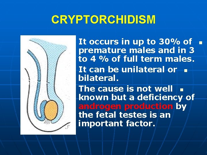 CRYPTORCHIDISM It occurs in up to 30% of premature males and in 3 to CRYPTORCHIDISM It occurs in up to 30% of premature males and in 3 to