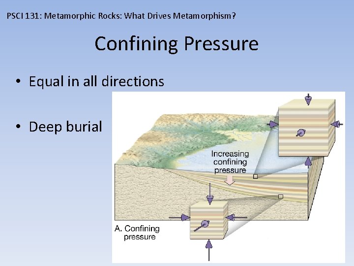 PSCI 131: Metamorphic Rocks: What Drives Metamorphism? Confining Pressure • Equal in all directions