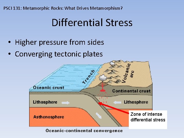 PSCI 131: Metamorphic Rocks: What Drives Metamorphism? Differential Stress • Higher pressure from sides