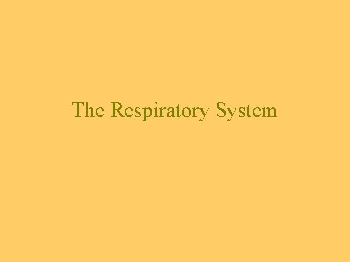 The Respiratory System 