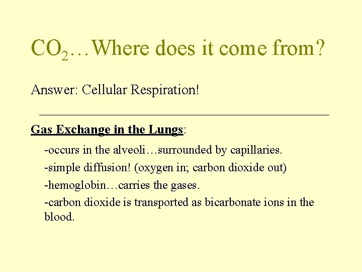 CO 2…Where does it come from? Answer: Cellular Respiration! Gas Exchange in the Lungs: