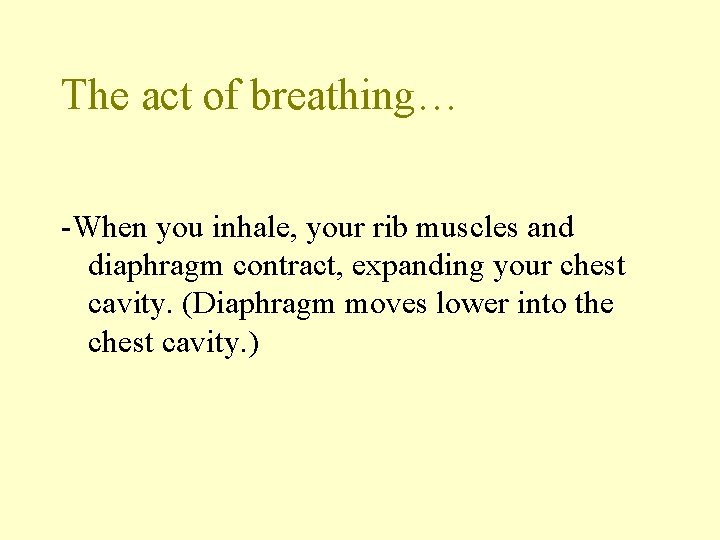 The act of breathing… -When you inhale, your rib muscles and diaphragm contract, expanding