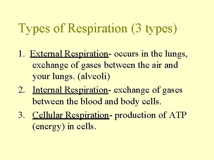 Types of Respiration (3 types) 1. External Respiration- occurs in the lungs, exchange of