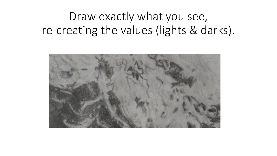 Draw exactly what you see, re-creating the values (lights & darks). 