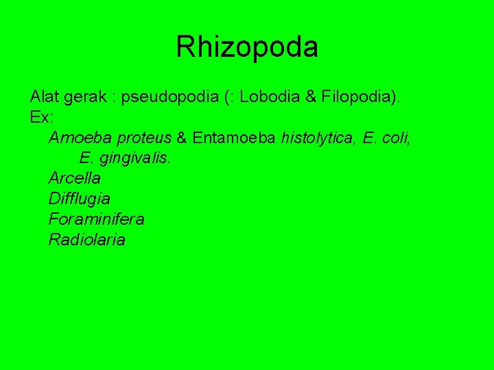 Rhizopoda Alat gerak : pseudopodia (: Lobodia & Filopodia). Ex: Amoeba proteus & Entamoeba