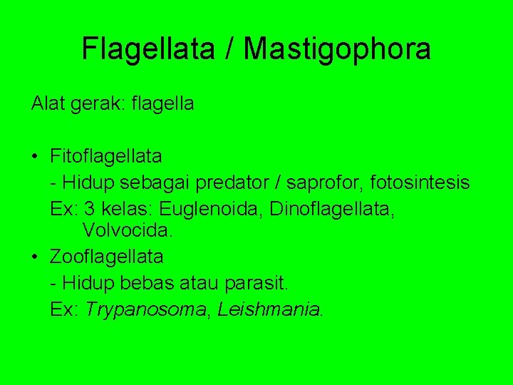Flagellata / Mastigophora Alat gerak: flagella • Fitoflagellata - Hidup sebagai predator / saprofor,