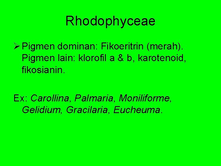 Rhodophyceae Ø Pigmen dominan: Fikoeritrin (merah). Pigmen lain: klorofil a & b, karotenoid, fikosianin.