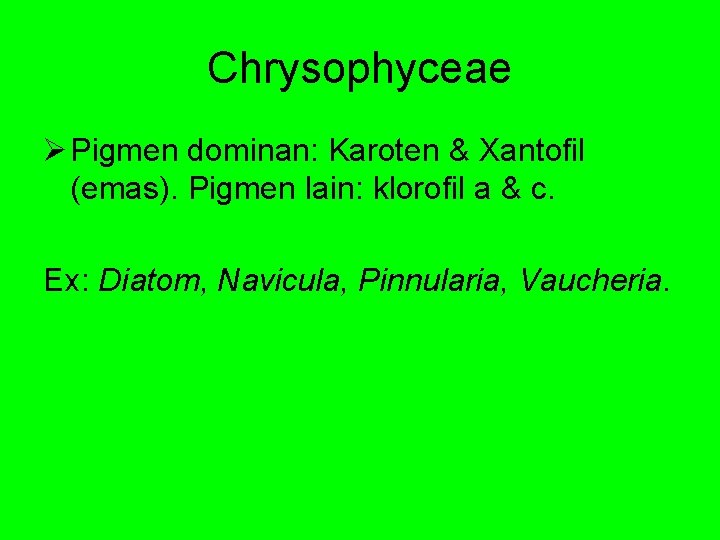 Chrysophyceae Ø Pigmen dominan: Karoten & Xantofil (emas). Pigmen lain: klorofil a & c.