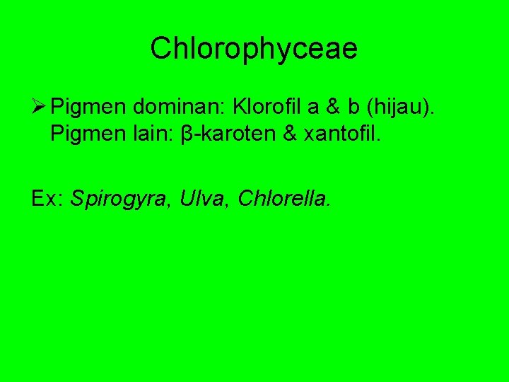 Chlorophyceae Ø Pigmen dominan: Klorofil a & b (hijau). Pigmen lain: β-karoten & xantofil.