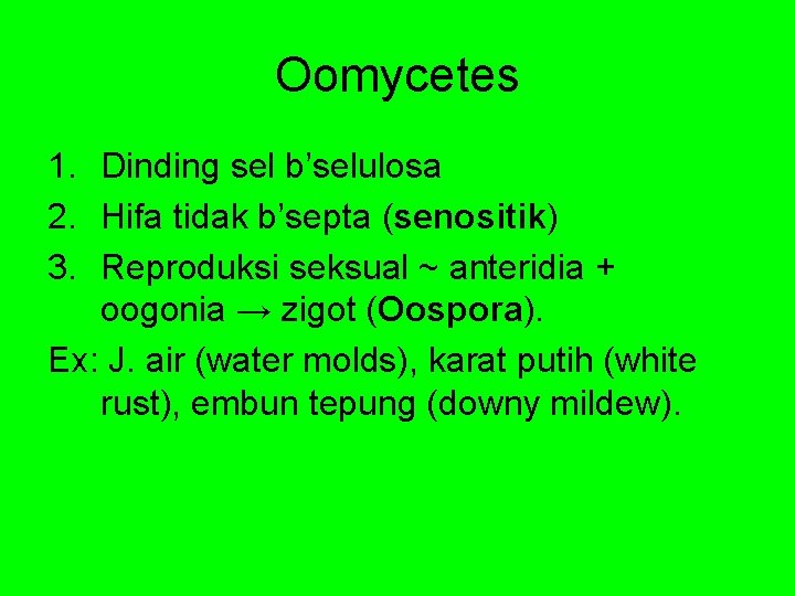 Oomycetes 1. Dinding sel b’selulosa 2. Hifa tidak b’septa (senositik) 3. Reproduksi seksual ~