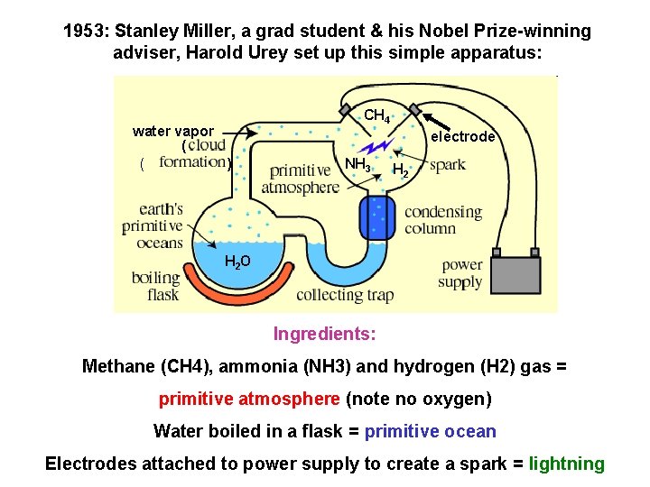 1953: Stanley Miller, a grad student & his Nobel Prize-winning adviser, Harold Urey set