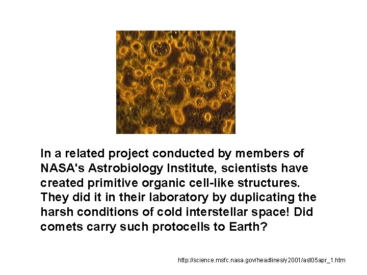In a related project conducted by members of NASA's Astrobiology Institute, scientists have created