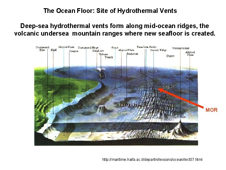 The Ocean Floor: Site of Hydrothermal Vents Deep-sea hydrothermal vents form along mid-ocean ridges,