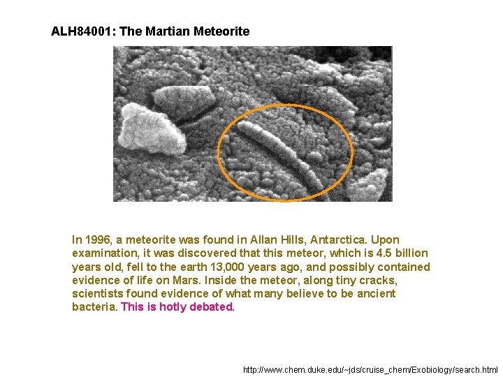 ALH 84001: The Martian Meteorite In 1996, a meteorite was found in Allan Hills,
