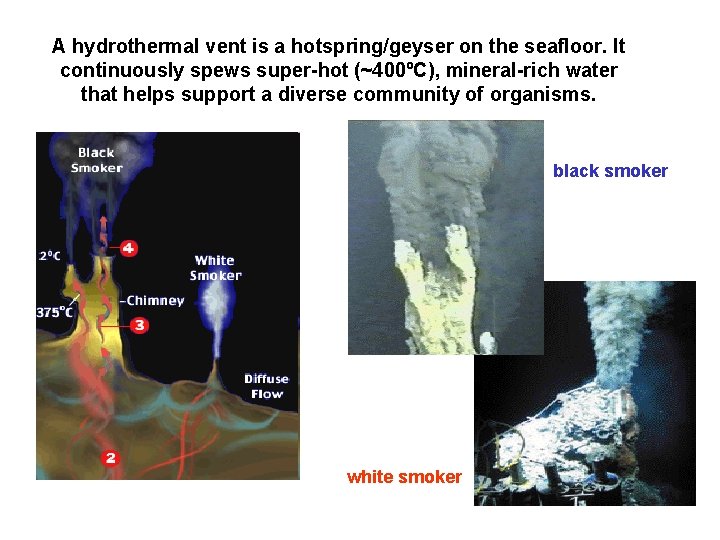 A hydrothermal vent is a hotspring/geyser on the seafloor. It continuously spews super-hot (~400ºC),