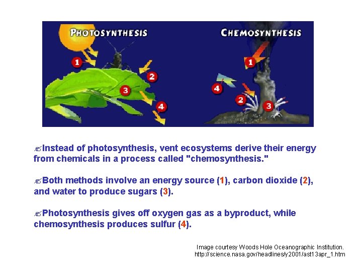 ? Instead of photosynthesis, vent ecosystems derive their energy from chemicals in a process