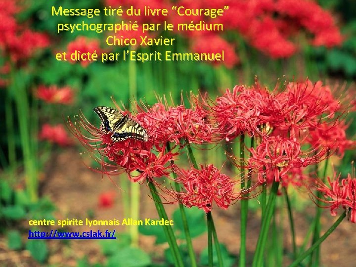 Message tiré du livre “Courage” psychographié par le médium Chico Xavier et dicté par