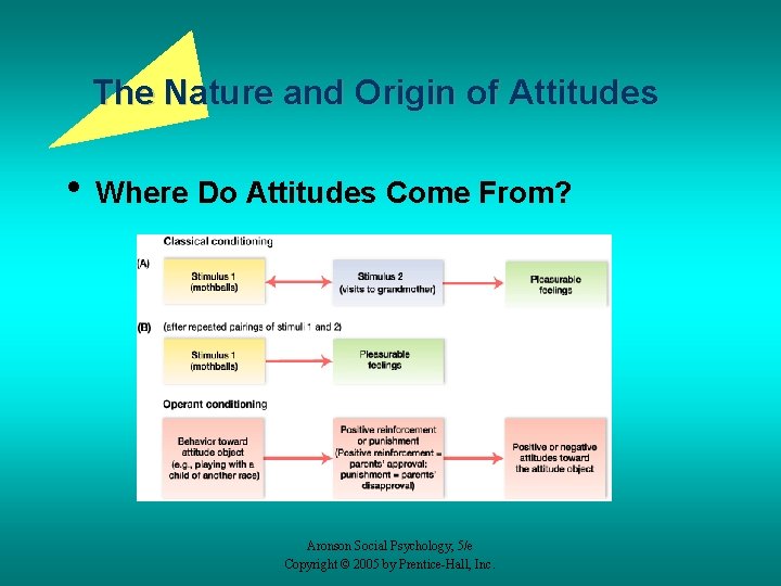 The Nature and Origin of Attitudes • Where Do Attitudes Come From? Aronson Social