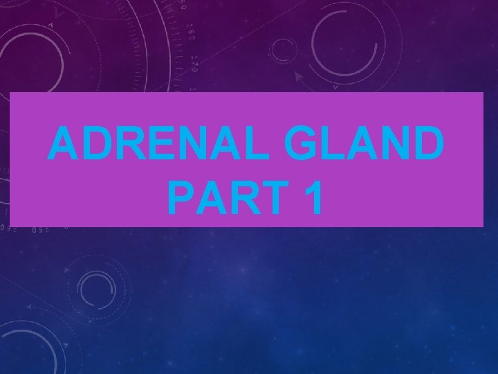 ADRENAL GLAND PART 1 