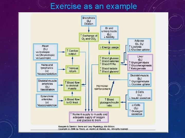 Exercise as an example 