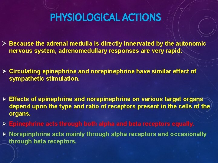 PHYSIOLOGICAL ACTIONS Ø Because the adrenal medulla is directly innervated by the autonomic nervous