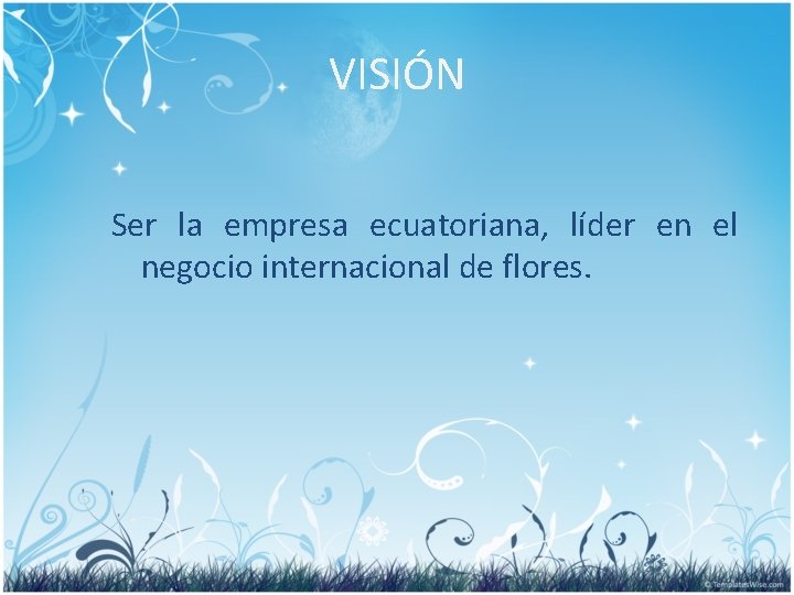 VISIÓN Ser la empresa ecuatoriana, líder en el negocio internacional de flores. 