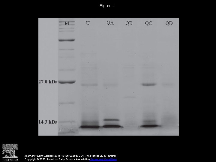 Figure 1 Journal of Dairy Science 2018 1012842 -2850 DOI: (10. 3168/jds. 2017 -13888)