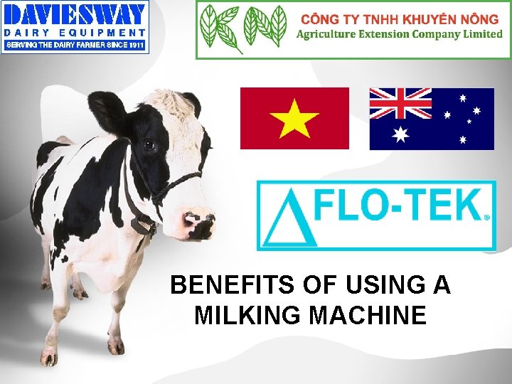 BENEFITS OF USING A MILKING MACHINE 