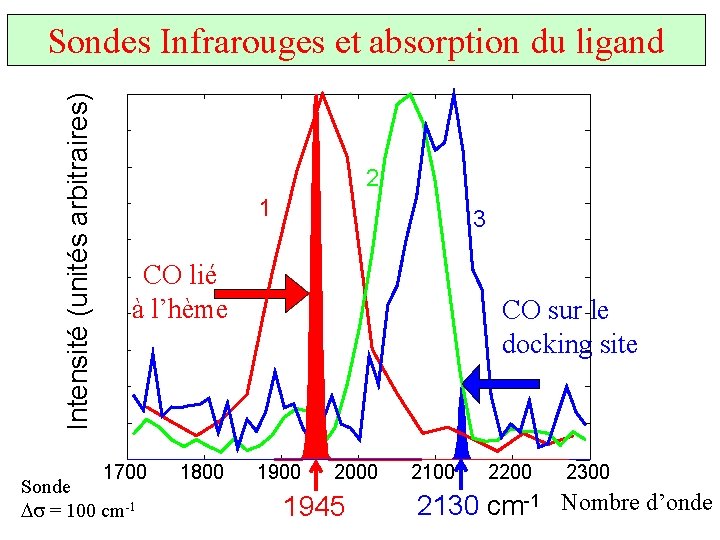 Intensité (unités arbitraires) Sondes Infrarouges et absorption du ligand 2 1 3 CO lié