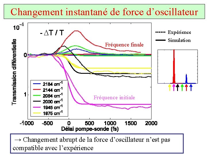 Changement instantané de force d’oscillateur -4 D Expérience Fréquence finale Simulation Fréquence initiale →