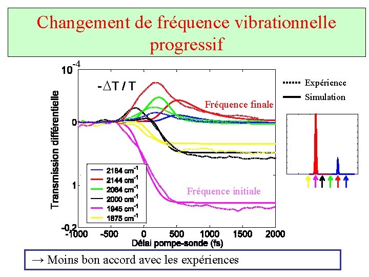 Changement de fréquence vibrationnelle progressif -4 D Expérience Fréquence finale Fréquence initiale → Moins