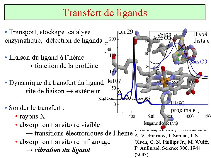 Transfert de ligands • Transport, stockage, catalyse enzymatique, détection de ligands • Liaison du