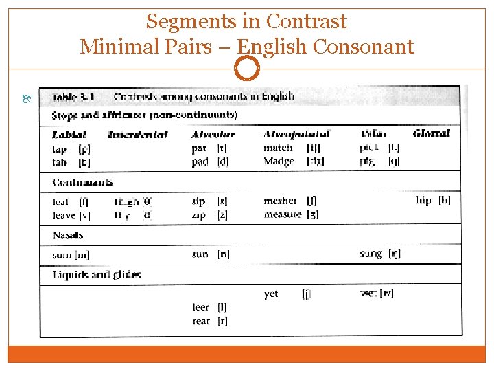 Segments in Contrast Minimal Pairs – English Consonant Example: Segments in Contrast Minimal Pairs – English Consonant Example: