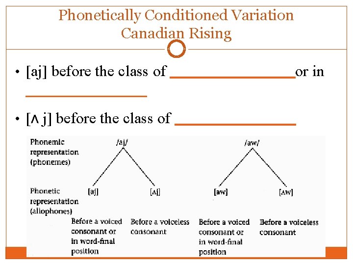 Phonetically Conditioned Variation Canadian Rising • [aj] before the class of ______ or in