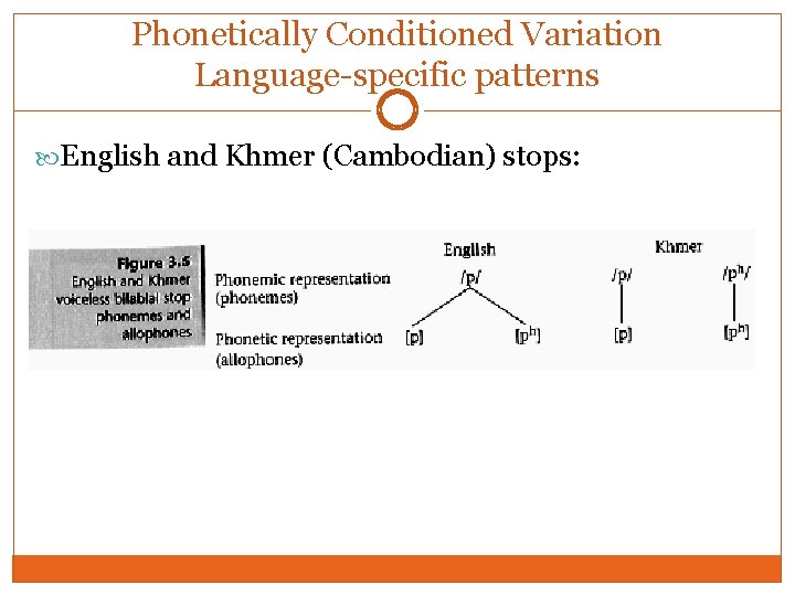 Phonetically Conditioned Variation Language-specific patterns English and Khmer (Cambodian) stops: Phonetically Conditioned Variation Language-specific patterns English and Khmer (Cambodian) stops: