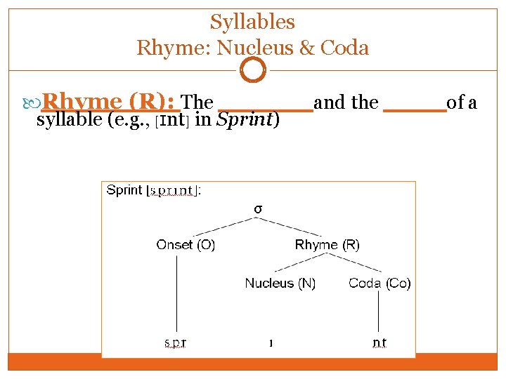 Syllables Rhyme: Nucleus & Coda Rhyme (R): The ______and the ____of a syllable (e. Syllables Rhyme: Nucleus & Coda Rhyme (R): The ______and the ____of a syllable (e.