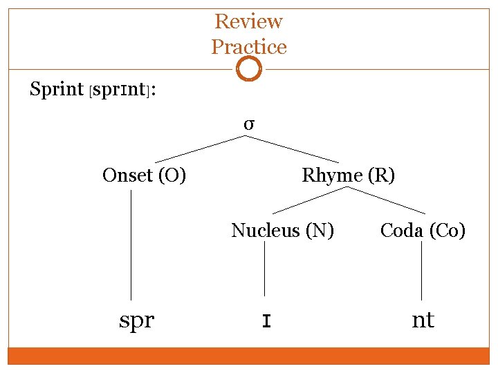 Review Practice Sprint [sprɪnt]: σ Onset (O) Rhyme (R) Nucleus (N) spr ɪ Coda