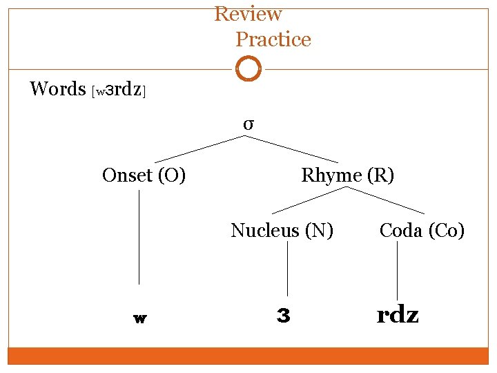 Review Practice Words [wɜrdz] σ Onset (O) Rhyme (R) Nucleus (N) w ɜ Coda