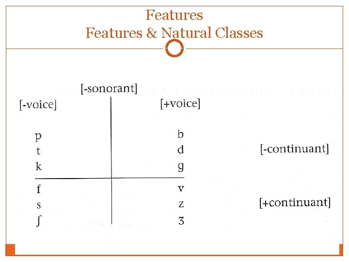 Features & Natural Classes Features & Natural Classes