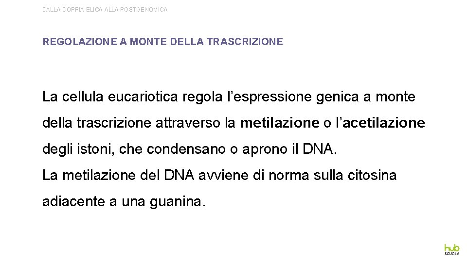 DALLA DOPPIA ELICA ALLA POSTGENOMICA REGOLAZIONE A MONTE DELLA TRASCRIZIONE La cellula eucariotica regola