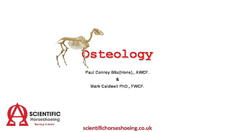 Osteology Paul Conroy BSc(Hons). , AWCF. & Mark Caldwell Ph. D. , FWCF. ‘Burning