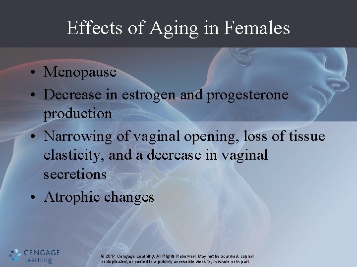Effects of Aging in Females • Menopause • Decrease in estrogen and progesterone production
