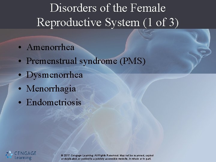 Disorders of the Female Reproductive System (1 of 3) • • • Amenorrhea Premenstrual