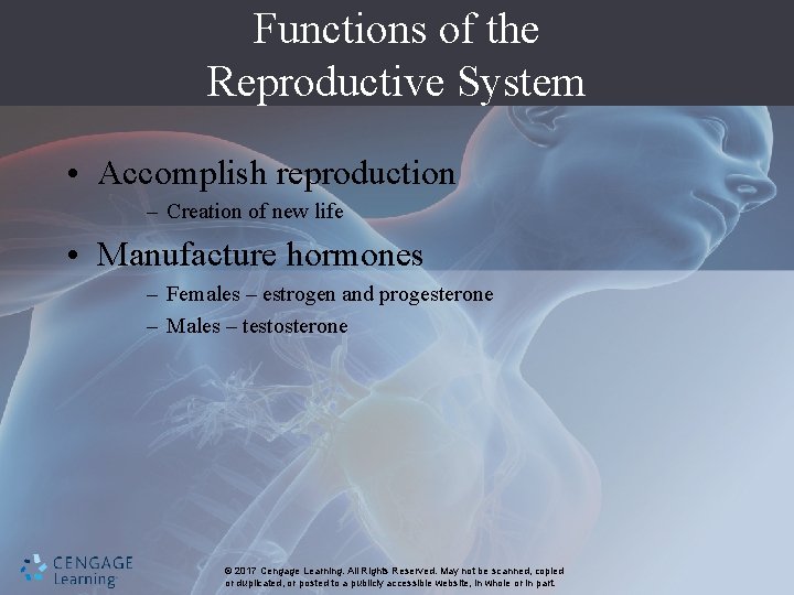 Functions of the Reproductive System • Accomplish reproduction – Creation of new life •