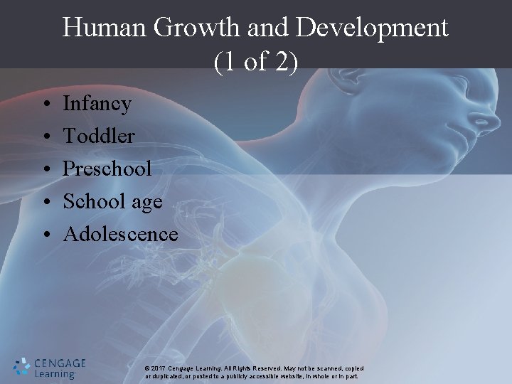 Human Growth and Development (1 of 2) • • • Infancy Toddler Preschool School